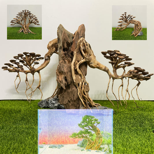 Handmade Bonsai Tree Aquarium Driftwood for Freshwater
